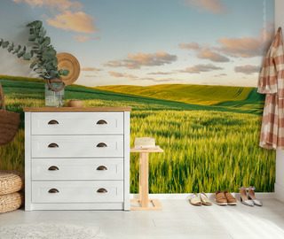 collines ensoleillees au coucher du soleil papiers peints de paysage papiers peints demural