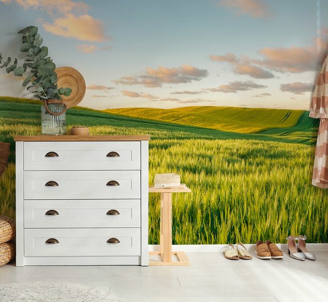 collines ensoleillees au coucher du soleil papiers peints de paysage papiers peints demural