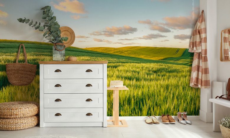 collines ensoleillees au coucher du soleil papiers peints de paysage papiers peints demural