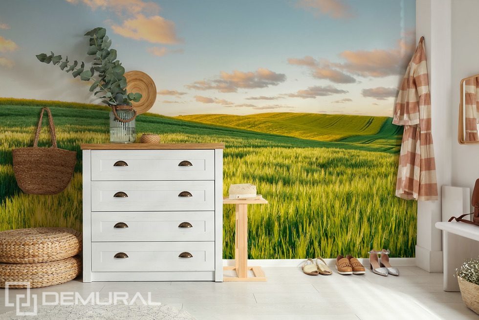 Collines ensoleillées au coucher du soleil Papiers peints de Paysage Papiers peints Demural