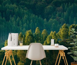 profondeur forestiere et vue sur les arbres papiers peints de paysage papiers peints demural