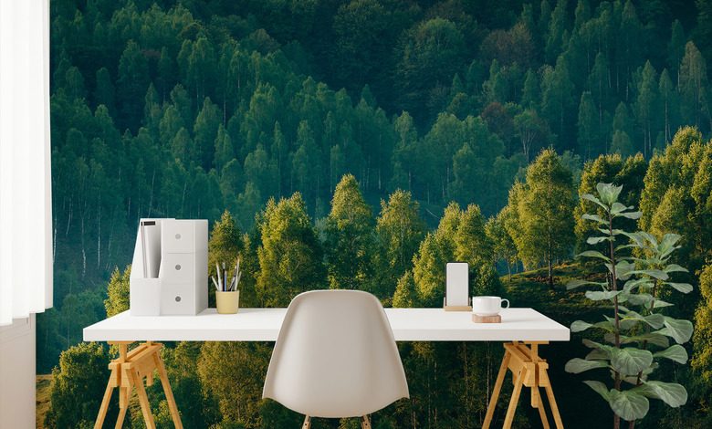 profondeur forestiere et vue sur les arbres papiers peints de paysage papiers peints demural