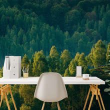 Profondeur-forestiere-et-vue-sur-les-arbres-papiers-peints-de-paysage-papiers-peints-demural