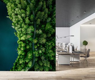 sentier forestier au bord de leau vu du ciel papiers peints pour le bureau papiers peints demural