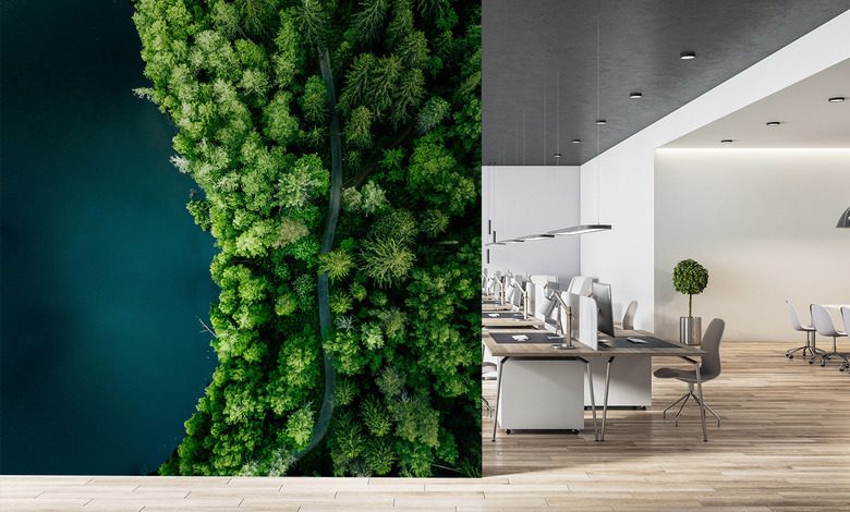 sentier forestier au bord de leau vu du ciel papiers peints pour le bureau papiers peints demural