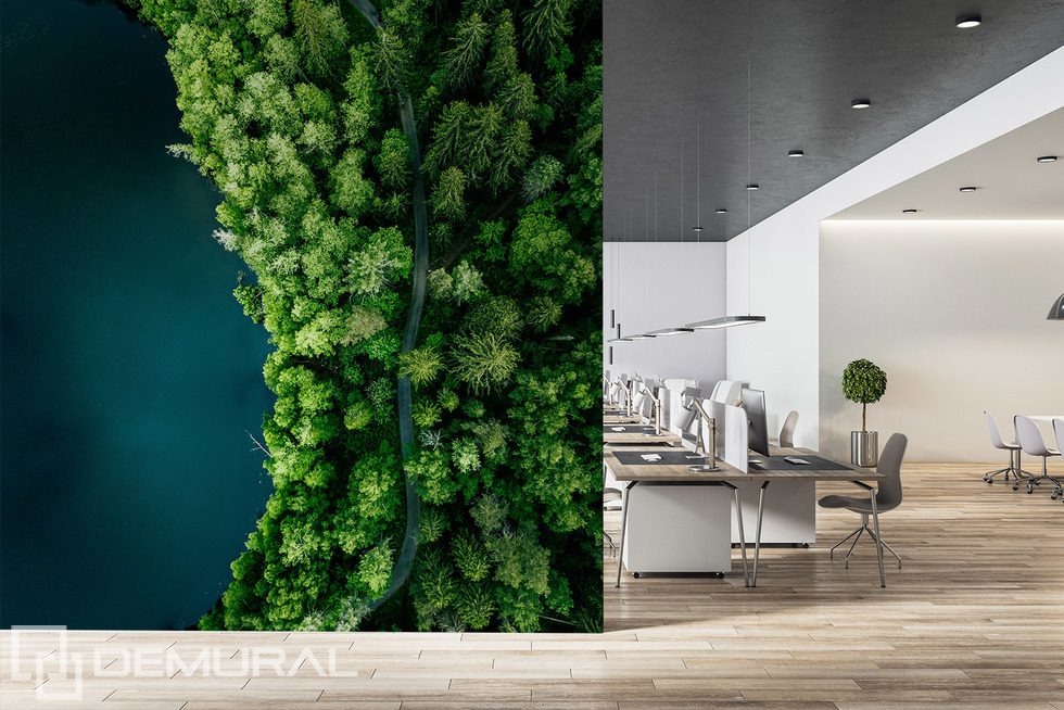 Sentier forestier au bord de l’eau vu du ciel Papiers peints pour le bureau Papiers peints Demural