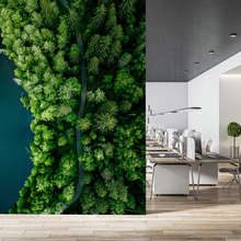 Sentier-forestier-au-bord-de-leau-vu-du-ciel-papiers-peints-pour-le-bureau-papiers-peints-demural