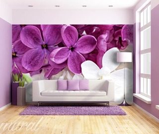 violettes du salon papiers peints fleurs papiers peints demural