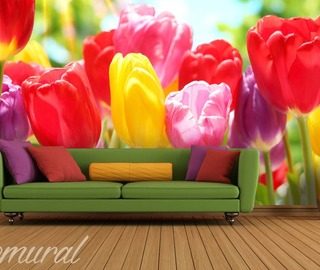 ma chere tulipe papiers peints fleurs papiers peints demural
