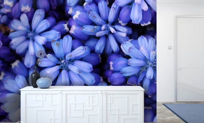 bleu royal papiers peints fleurs papiers peints demural