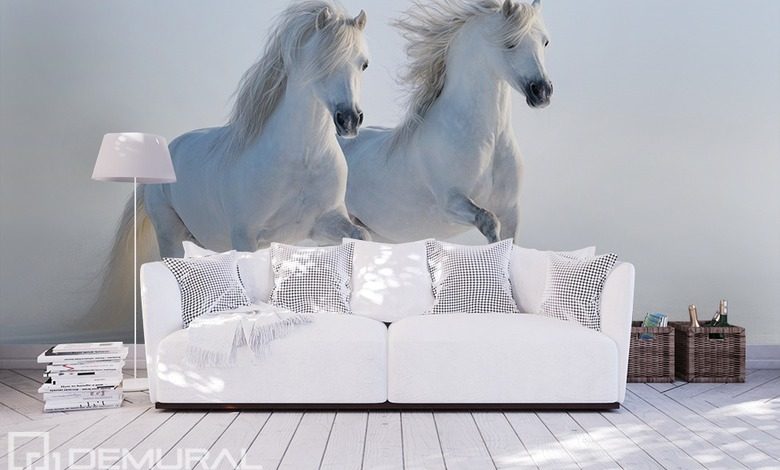 chevaux blancs papiers peints animaux papiers peints demural